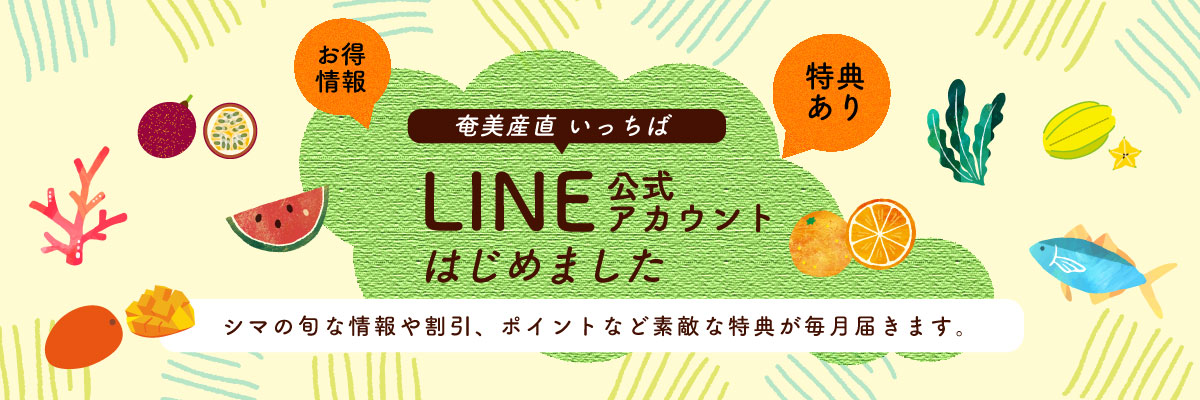 19キロ 奄美群島産 (盲亀浮木の店)青パパイヤ ※訳あり※