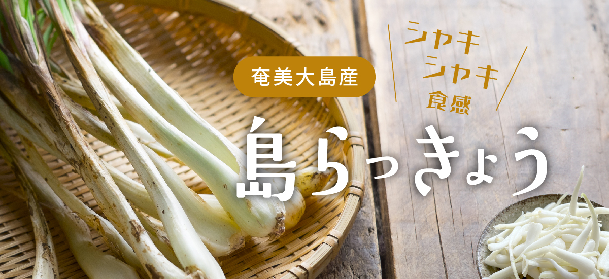 rakkyo_banner_PC.jpg