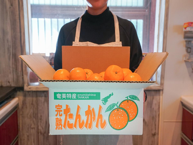 (いななみかん)ダンベル activafit 1つ Amazon.co.jp: ativafit