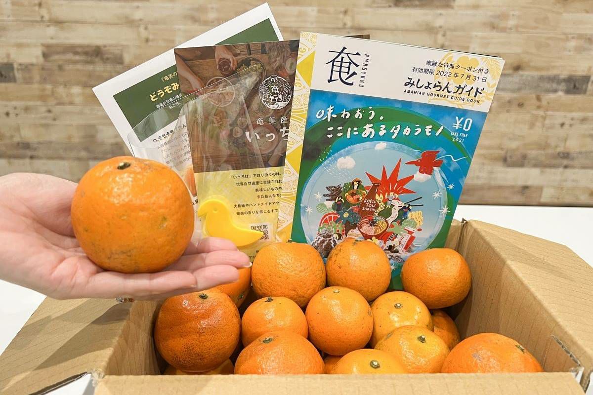 【送料無料】奄美産たんかん／おためし用約2.5kg・MS玉