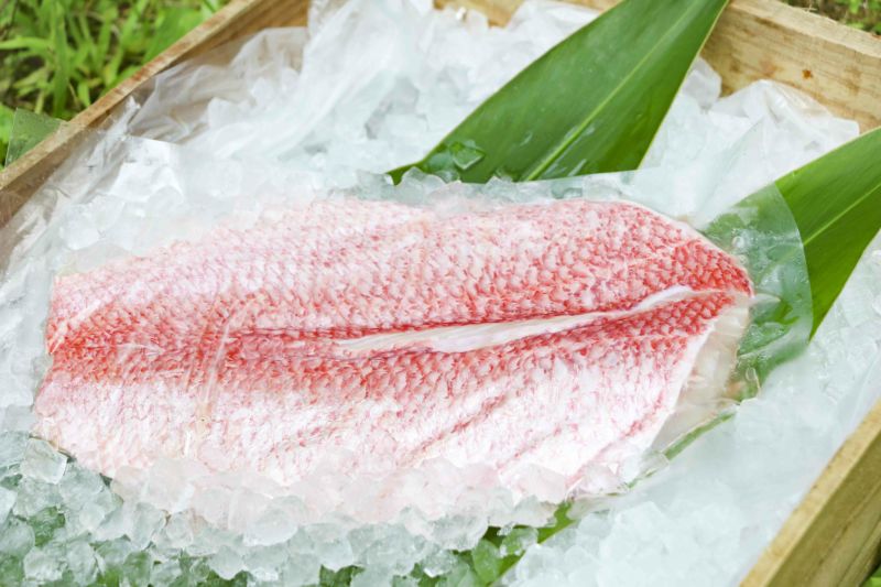 送料込み お任せいしょむん 磯物 海産物 セット 前川水産 奄美の通販市場 いっちば 送料込み お任せいしょむん 磯物 海産物 セット 前川水産 奄美の通販市場 いっちば