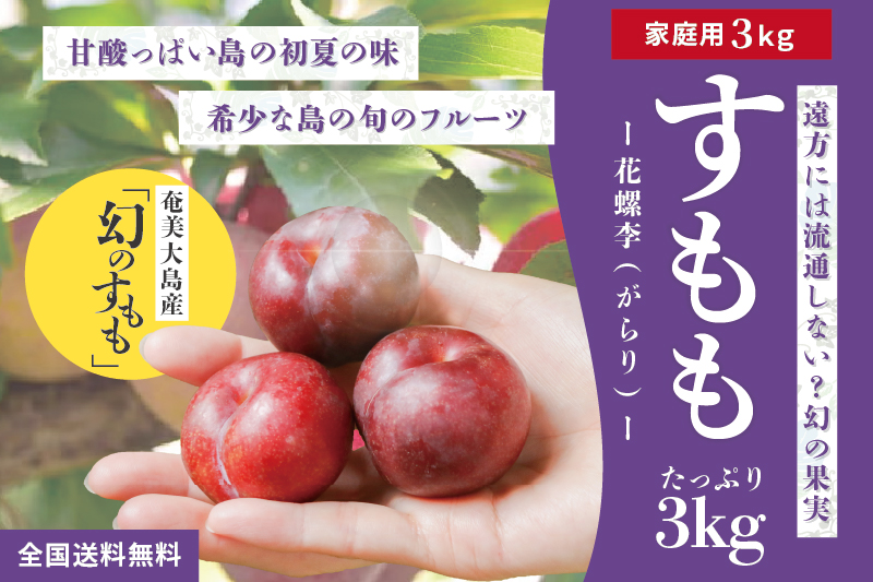 送料無料】奄美産すもも 約3kg M玉以上（スモモ/奄美プラム/花螺李 