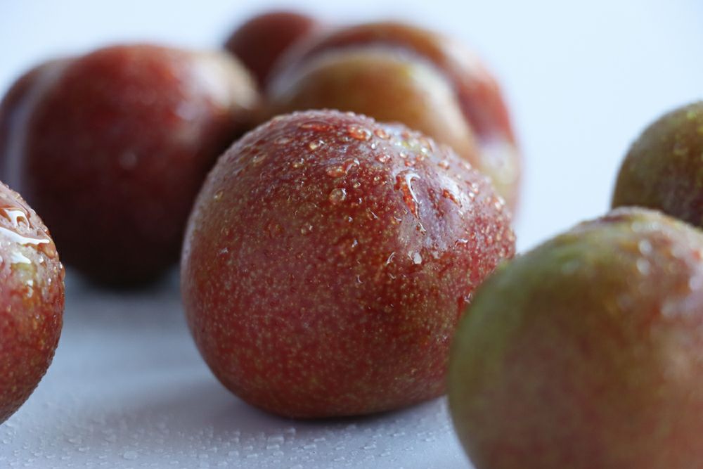 数量限定・期間限定・送料無料】奄美産すもも 約900g/1800g（スモモ