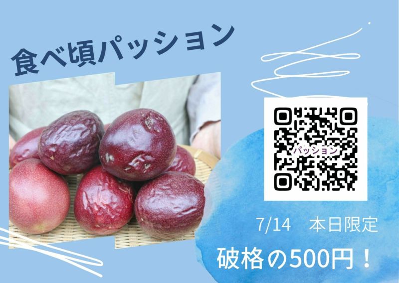 お一人様1セットだけ 食べ頃パッションフルーツ約５００g バラ詰め 色ムラ キズ シワ有 奄美の通販市場 いっちば