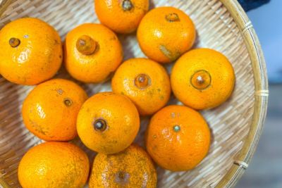 送料無料】奄美産津之輝（つのかがやき）秀品（A品）約2.5kg