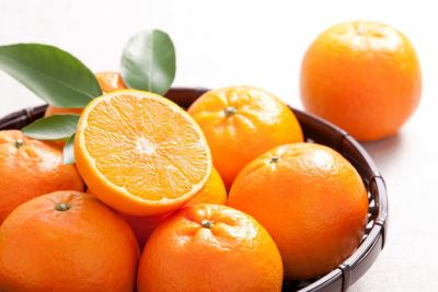 【送料無料】奄美産たんかん　家庭用約5kg