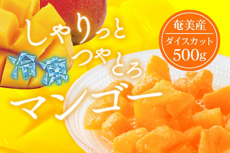 数量限定】カット冷凍マンゴー約500g（250g×2パック） | 奄美産直いっちば