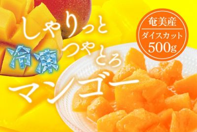【数量限定】カット冷凍マンゴー約500g（250g×2パック）