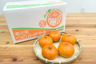 送料無料】奄美産津之輝（つのかがやき）秀品（A品）約5kg（化粧