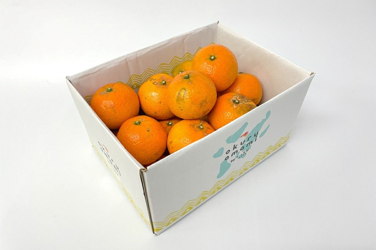 手作りの果物付き装飾木　アパレル　希少　絶版 送料無料】奄美産津之輝（つのかがやき/津の輝）お試し用2.5kg | 奄美