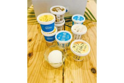 【送料無料】こだわり奄美素材のcastanoジェラート（8種類）