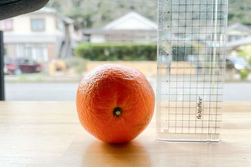 送料無料】小さめSサイズ☆奄美産たんかん S玉 5kg箱満杯