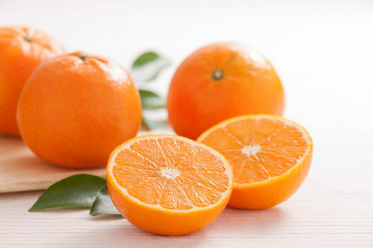 送料無料】奄美産たんかん 贈答用約3kg【化粧箱入】≪2026年2－3