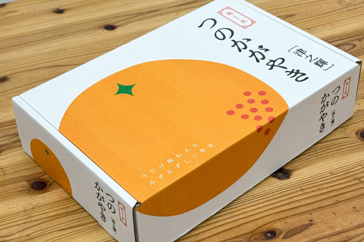 ガレコップ 5ケ 箱付き 無花果 果実 オレンジ 銘 希少 ガレコップ 5ケ 箱付き 無花果 果実 オレンジ 銘 希少 ガレコップ 5ケ