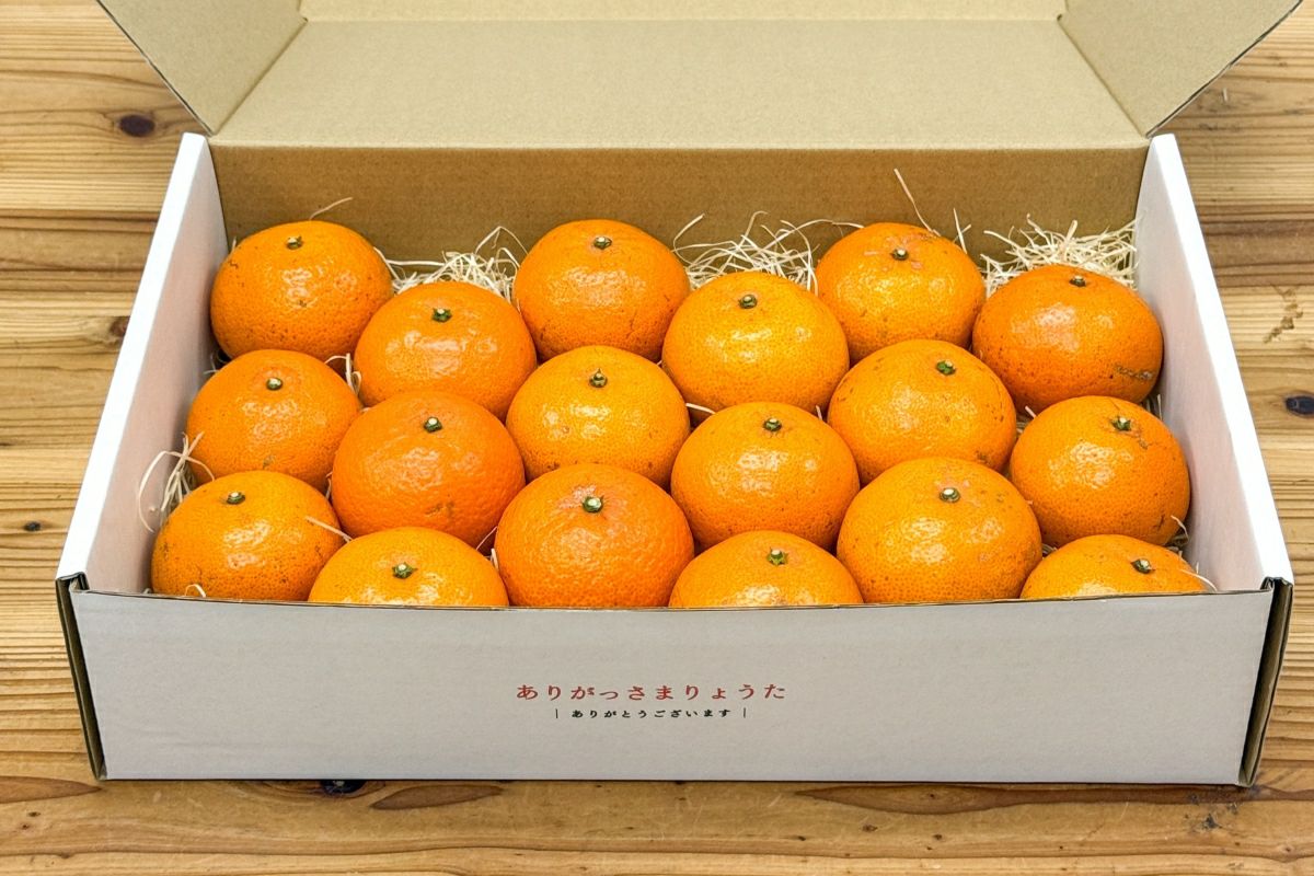 送料無料】奄美産津之輝（つのかがやき/津の輝）贈答用約2.5kg | 奄美