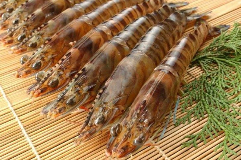 送料無料】宇検村産 冷凍車えび （500g/1kg/規格外車えび1kg） | 奄美