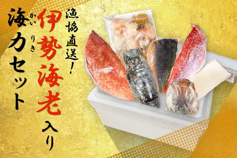 【仲介入〜】新品 スシエルエー マグロ(バナナオレ) 海老天セット 送料無料】漁協直送！伊勢海老入り海力セット | 奄美産直いっちば